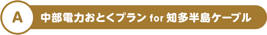 A 中部電力おとくプラン for 知多半島ケーブル