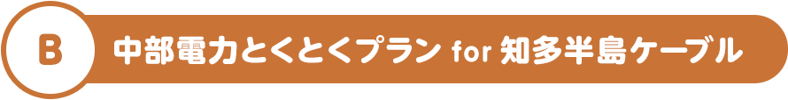 B 中部電力とくとくプラン for 知多半島ケーブル