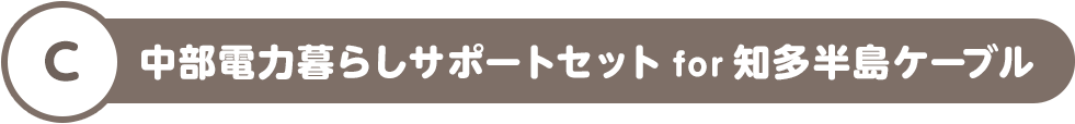 C 中部電力暮らしサポートセット for 知多半島ケーブル