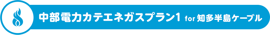 中部電力カテエネガスプラン1 for 知多半島ケーブル