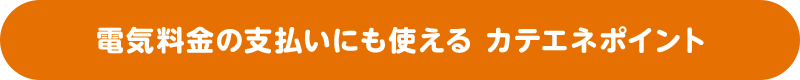 電気料金の支払いにも使える カテエネポイント