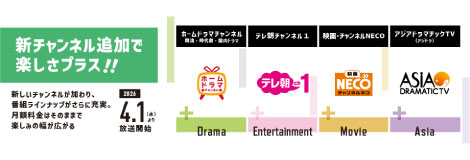2604専門チャンネル