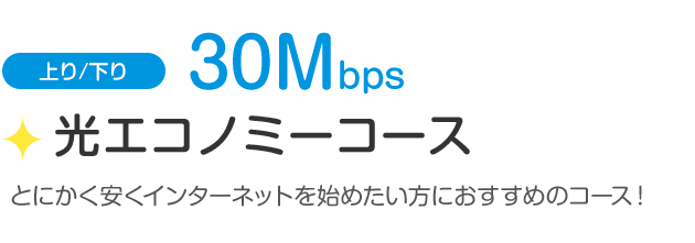 下り／上り30Mbps「光エコノミーコース」とにかく安くインターネットを始めたい方におすすめのコース！